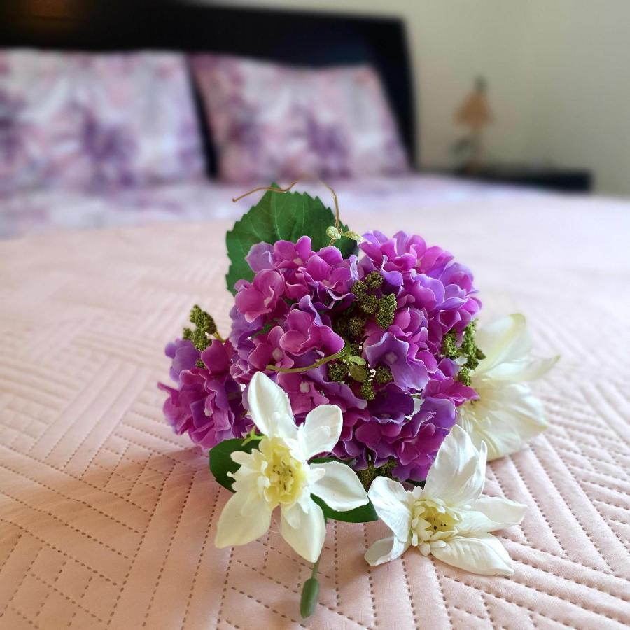 파포스 Owls Nest Townhouse 빌라 외부 사진